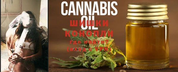 крисы Сатка