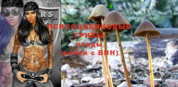 ПСИЛОЦИБИНОВЫЕ ГРИБЫ Сафоново