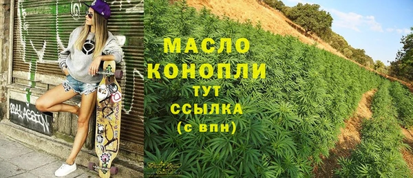 крисы Сатка