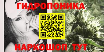 крисы Новозыбков