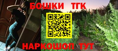крисы Новозыбков