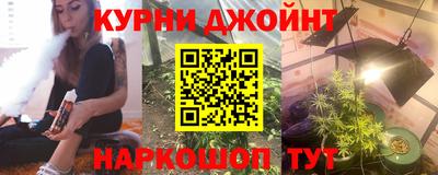 крисы Новозыбков