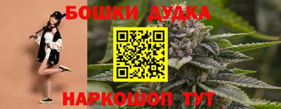 крисы Новозыбков