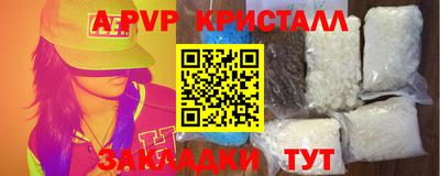 крисы Новозыбков