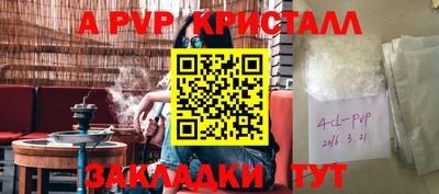 крисы Новозыбков