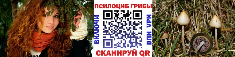 omg зеркало Бор Галлюциногенные грибы Cubensis