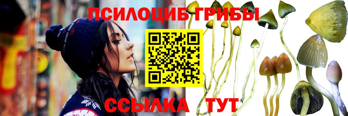 Галлюциногенные грибы Cubensis  Псилоцибиновые грибы мухоморы  Вход с VPN  где купить наркоту  Бор 