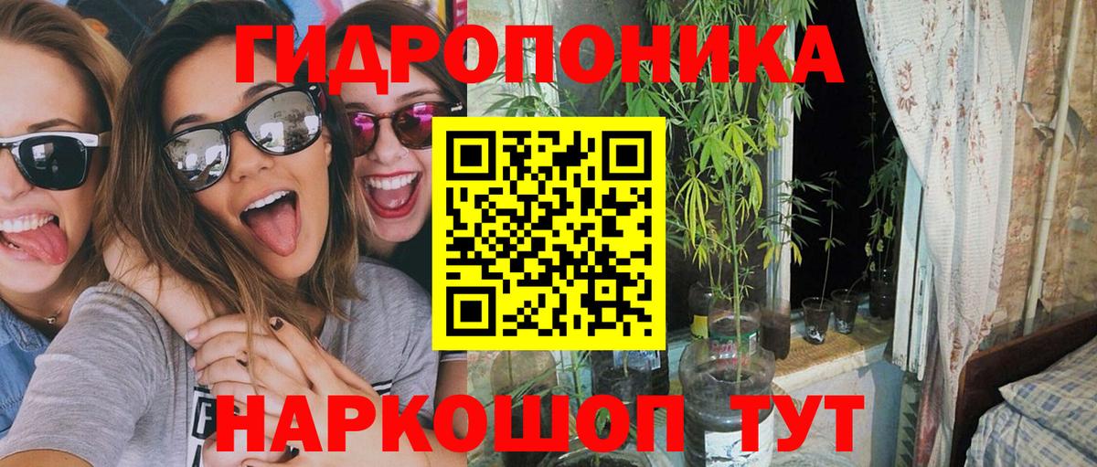 Каннабис сатива Бор
